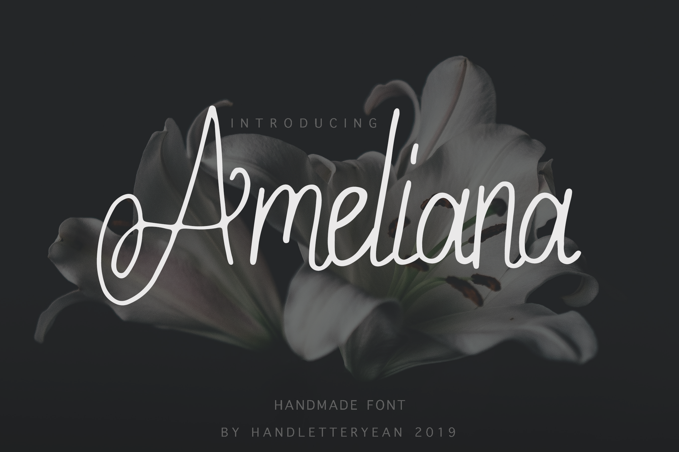 Ameliana font